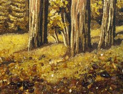 Landscape “Road in a pine forest”